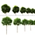 Miniature Ash and Maple Trees 3D model small image 2