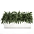 Exotic Tropical Indoor Plant Collection in White Pots 3D model small image 4