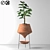 Elegant Indoor Decorative Plant 3D model small image 1