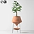 Elegant Indoor Decorative Plant 3D model small image 5