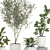 Exotic Plant Collection: Indoor & Outdoor Greenery 3D model small image 2