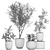 Exotic Plant Collection: Indoor & Outdoor Greenery 3D model small image 5