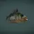  Low Poly 3D River Perch Model 3D model small image 2