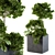  Concrete Box Set 58 - Outdoor Plant Décor 3D model small image 1