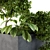  Concrete Box Set 58 - Outdoor Plant Décor 3D model small image 4