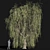 Tall Willow Tree (9.8m) 3D model small image 2