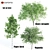 Exquisite Tree Set: Honey Mesquite, Paper Birch & Magnolia 3D model small image 1