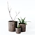 Indoor Greenery: Dynamic Composition 3D model small image 1