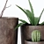 Indoor Greenery: Dynamic Composition 3D model small image 2