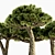Tropical Dracaena Set: 5 Majestic Trees 3D model small image 2