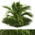 Tropical Serenity: Banana Palm and Wild Grass Outdoor Décor 3D model small image 1