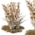 Outdoor Pampas Bush - Wild Grass (52cm) 3D model small image 1