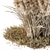 Outdoor Pampas Bush - Wild Grass (52cm) 3D model small image 2