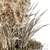 Outdoor Pampas Bush - Wild Grass (52cm) 3D model small image 3