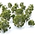 Mini Conifer Trees: 50-70cm Height 3D model small image 2
