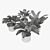 Tropical Calathea Plant Collection 3D model small image 5