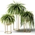 Nephrolepis Sublime: Indoor Greenery in Floor Planters 3D model small image 1