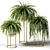 Nephrolepis Sublime: Indoor Greenery in Floor Planters 3D model small image 2