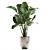 Exotic Plant Collection: Calathea, Banana Palm, Ravenala, and Strelitzia 3D model small image 3