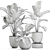 Exotic Plant Collection: Calathea, Banana Palm, Ravenala, and Strelitzia 3D model small image 5
