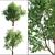 Dual Landscape Tree Set: Render-Ready 3D model small image 1