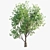 Dual Landscape Tree Set: Render-Ready 3D model small image 3