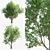 Dual Landscape Tree Set: Render-Ready 3D model small image 4