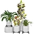 Versatile Plant Collection: Indoor & Outdoor 3D model small image 1