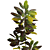 Versatile Plant Collection: Indoor & Outdoor 3D model small image 2