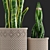 Braided Sansevieria: Macrame Planters 3D model small image 2