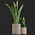 Braided Sansevieria: Macrame Planters 3D model small image 3