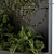 Verdant Oasis: Outdoor Ivy Green Wall 3D model small image 3