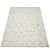 Andera Hand-Knotted Wool Rug 3D model small image 3