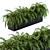 Tropical Oasis: Palm Plants in a Box 3D model small image 1