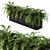 Tropical Oasis: Palm Plants in a Box 3D model small image 2