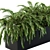 Tropical Oasis: Palm Plants in a Box 3D model small image 3