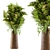 Elegant Branch Vase Bouquet 3D model small image 1