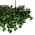 72-Piece Hanging Box Plant Set 3D model small image 2