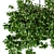 72-Piece Hanging Box Plant Set 3D model small image 3