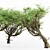 Acacia 02 Tree Collection: Variety of Heights & Excellent 3D Detail 3D model small image 2