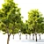 Natural Alder Tree - 9m Height 3D model small image 3