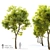  Tall and Majestic Alder Tree 3D model small image 1