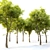  Tall and Majestic Alder Tree 3D model small image 3