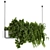 Lush Hanging Box Plants - Set of 70 3D model small image 1