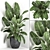Exotic Corner Plant Collection 3D model small image 1