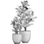 Exotic Plant Collection: Frangipani & Plumeria 3D model small image 5