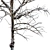 Frozen Beauty - Winter Tree 3D model small image 2