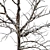 Frozen Beauty - Winter Tree 3D model small image 3