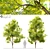 Twin Ash Trees - 7-7.5m Height 3D model small image 1