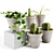 Plant Decor Vases - Indoor & Outdoor Ambience 3D model small image 1